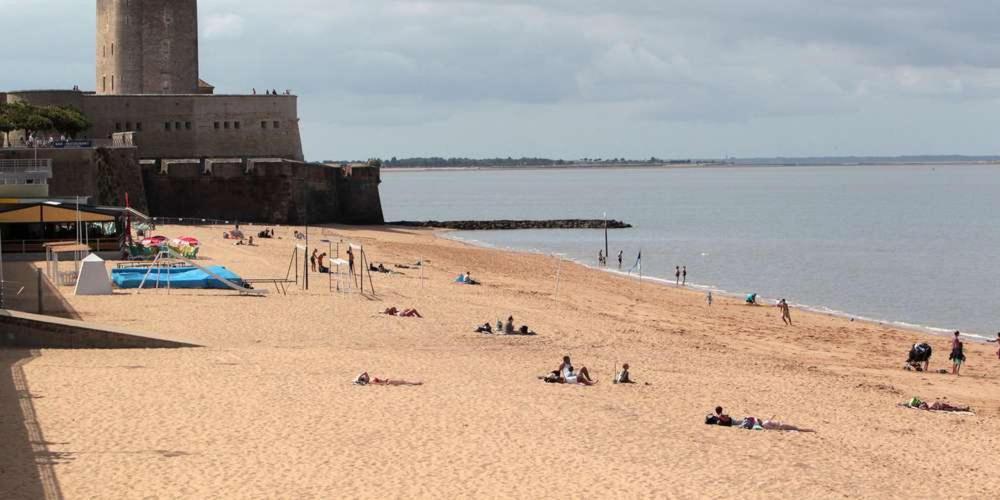 Studio Presqu'Ile Fouras Proche De La Plage Parking Prive Eksteriør bilde